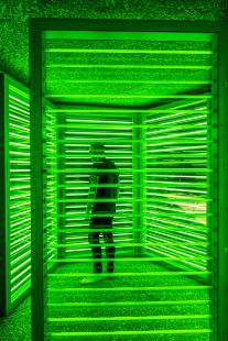 gallery/mahdis-mousavi-9zbbvb84tqy-unsplash